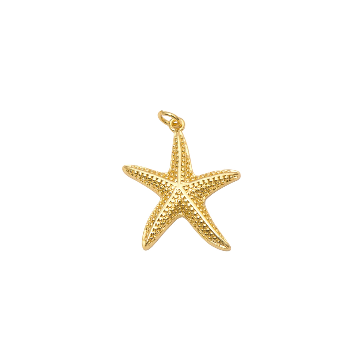 Sea Star Charm